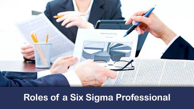 Skype Session 1- Roles of a Six Sigma Professional