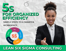 5S Consulting
